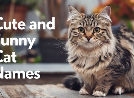 Cute and Funny Cat Names