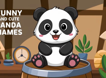 Funny and Cute Panda Names