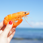 450+ Cool And Catchy Shrimp Names