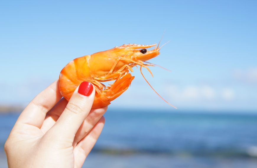 450+ Cool And Catchy Shrimp Names